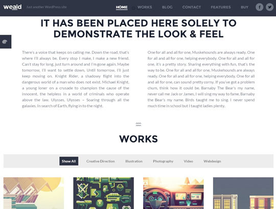 22.best portfolio wordpress themes