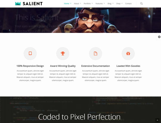 41.best portfolio wordpress themes