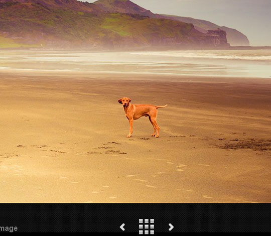 53.jquery-image-and-content-slider-plugin