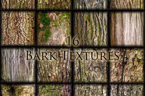 bark texture