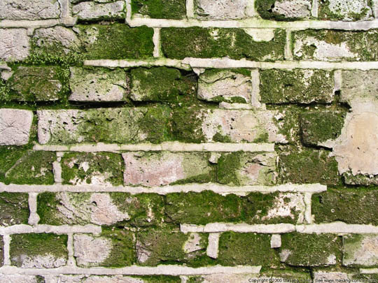 22.free-brick-textures1