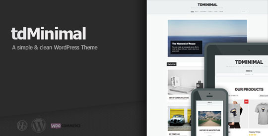 best minimal wordpress themes