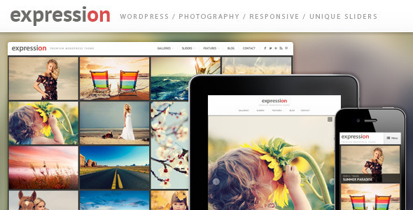 10.gallery wordpress theme