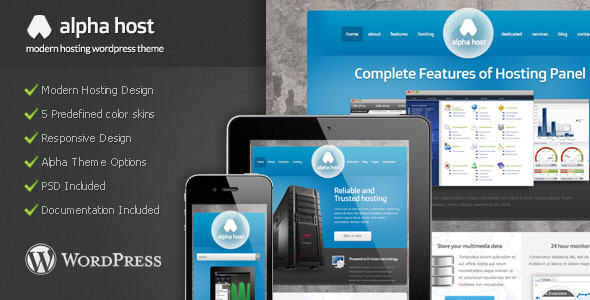 10.hosting wordpress theme