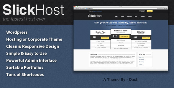 11.hosting wordpress theme