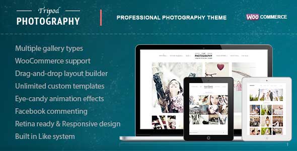 14.gallery wordpress theme