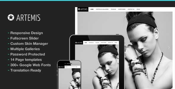 2.gallery wordpress theme