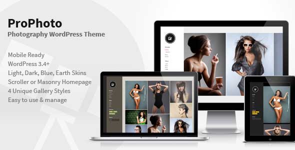 37.gallery wordpress theme