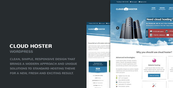 9.hosting wordpress theme