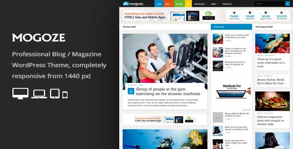 13.Wordpress news themes