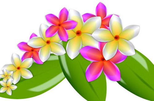 14.flower-vector1