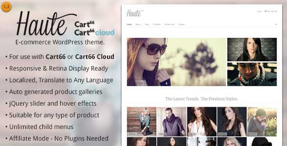 23.shopping wordpress themes