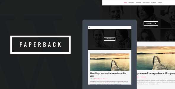 24.wordpress blogging theme