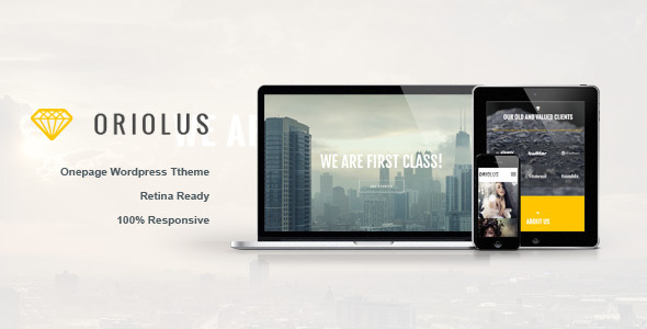 3.one page wordpress theme