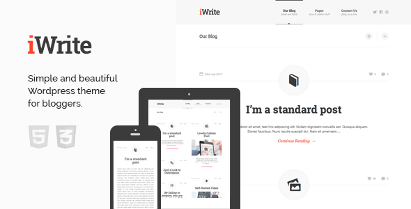 33.wordpress blogging theme