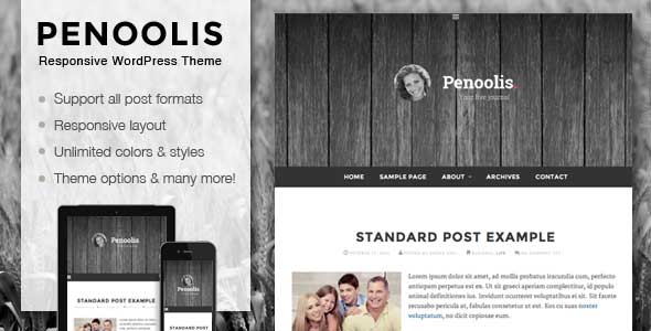 37.wordpress blogging theme