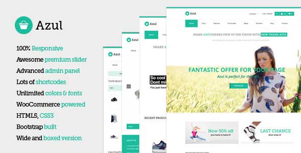 53.shopping wordpress themes