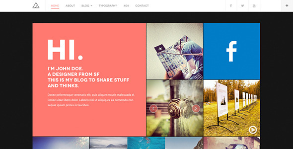 8.wordpress blogging theme