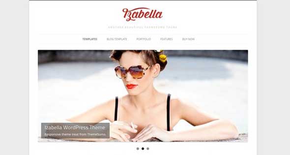 23.free and premium retro wordpress themes