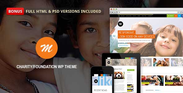 13.non profit wordpress themes