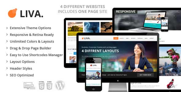 17.business wordpress themes