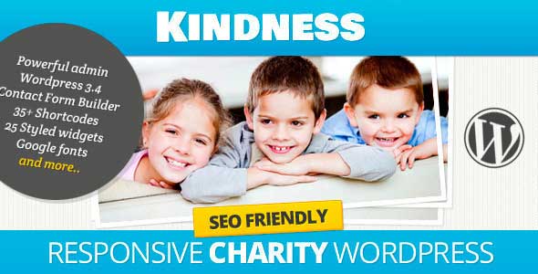 17.non profit wordpress themes