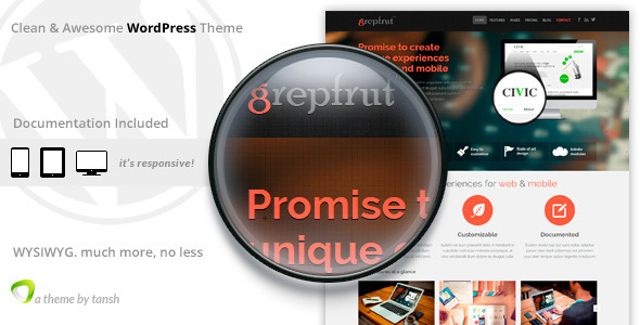 7.software wordpress themes