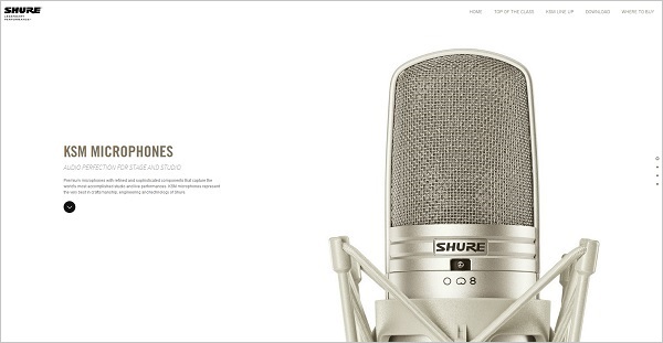 7.Monochromatic Website Design