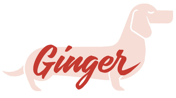 Ginger