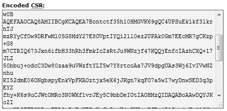 Generated encoded CSR code